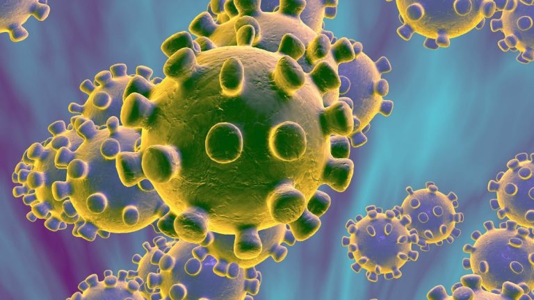 coronavirus-768×432